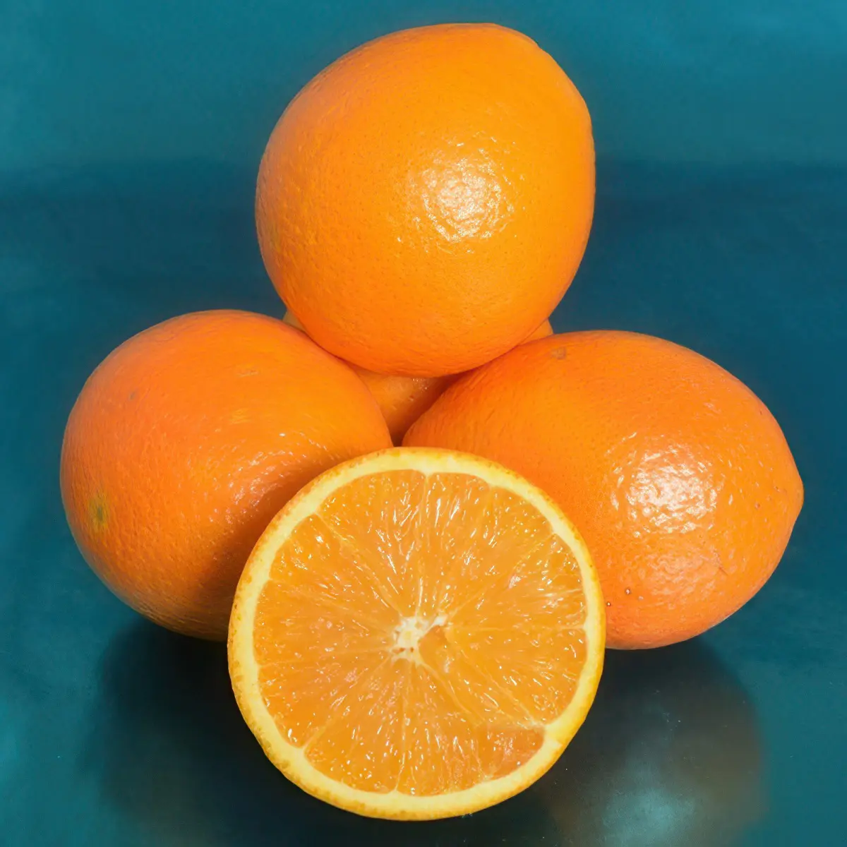 Апельсин Навелейт / Orange Navelate — цитрусовое растение, детальное фото
