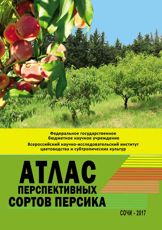 Атлас перспективных сортов персика