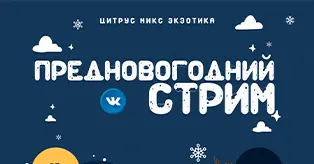 Предновогодний стрим с Еленой Степановой