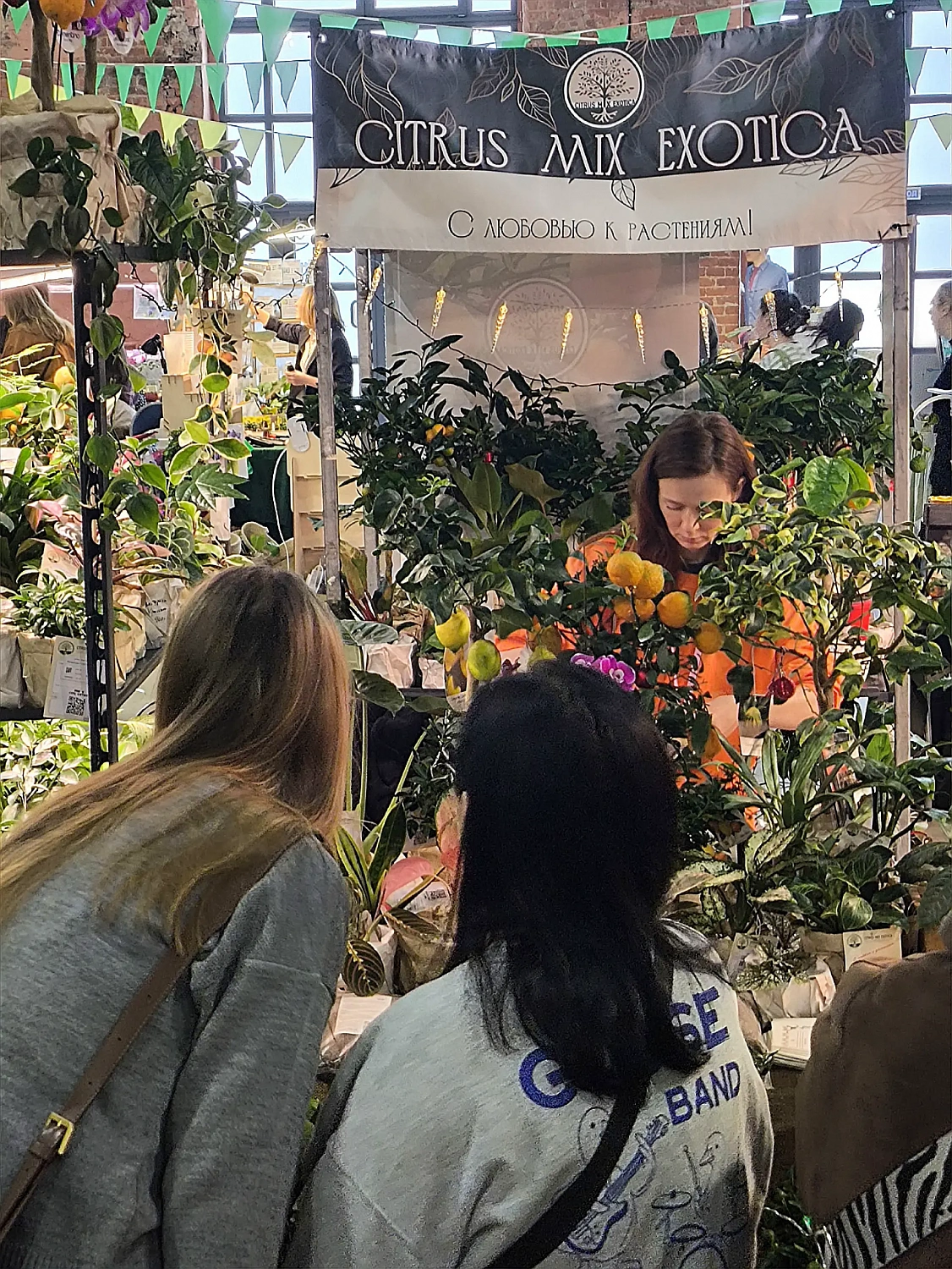 Цитрус Микс Экзотика на URBAN JUNGLE FEST в Санкт-Петербурге